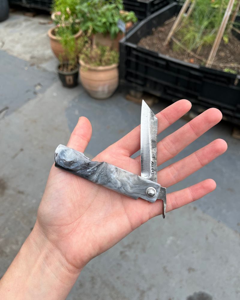 Folding Knife - Whizz